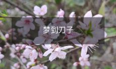 入梦之中,我突然见到一把锋利的刀子,眼看着它闪闪发光,令我感到万分惊恐,不知道这意味着什么