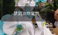 在睡梦中亲身体验热气腾腾、金黄酥脆、口感香醇的油炸美味:一个梦中的油炸食品探索之旅