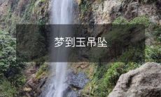 被夜空中璀璨星光映照的美丽田园中，我梦见了一个金色的世界，转过头，玉吊坠如闪亮钻石般璀璨耀眼，挂着一条细细的金链，令我陶醉不已