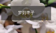 的意义:探究梦境中枣子的象征意义与心理启示