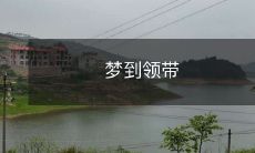 在梦中穿着华丽领带:探索梦境与个人风格的奇妙结合!