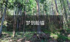 在梦中看到船锚挂在船头,引发幻觉与联想,让人回溯记忆,探索内心深处的情感世界