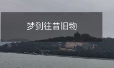 重现,感受时光流转:展现梦境中旧物的复古风情,带你回到那段美好的回忆时光