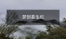 有机会梦到自己成为动物，置身于畜生栏中的体验，是怎样的一种震撼和感悟？