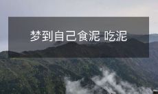 夜晚幻象:梦见自己进食土壤、口中咀嚼泥土,引起不安情绪的经历