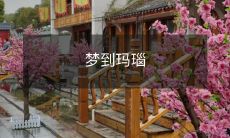 在梦中遇见玛瑙，皎洁而神秘的宝石，勾起神秘的幻想和美妙的情感体验！