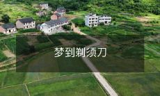 在梦中遇见了剃须刀,令人惊奇的梦境体验!