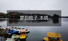 在梦中遇到的木梳:如何解读梦境中的符号?