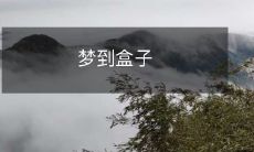 内有无限可能：探索梦境盒子中的无尽可能性
