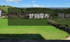 穿戴尿布的梦境启示：关于成长、自我接纳和面对生活挑战的反思与觉醒经验