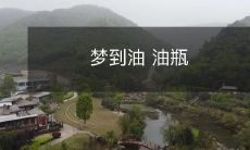 在梦中遇到油的沉浸感:探讨神秘的油瓶象征意义