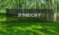 昨晚做梦了,梦到了美味诱人的威化饼干,让我难以忘怀!