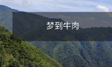 在深夜沉醉的梦境中鲜香扑鼻——梦到酱香牛肉,口水直流!