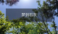 粉状的物质覆盖着梦境：描绘梦中场景的探究，从石灰粉末中汲取启示