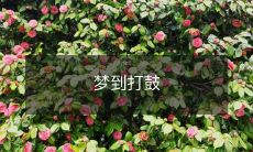 在睡梦中奏响华彩乐章:我梦到自己成为一个音乐家,热情洋溢地敲击着鼓面并陷入了美妙的音乐之中