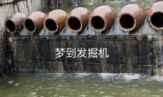 在梦中发现神奇的发掘机，探索未知的远古文明建筑群！