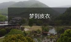 梦见自己穿着华丽的皮衣,在瑰丽的梦境中尽情炫耀自我