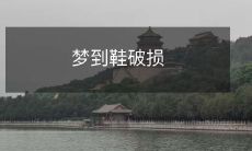 在梦里经历了一场惊险的旅程,我的鞋破损了,让我陷入恐惧与无助之中