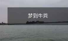 梦中出现的牛粪，让人意识到对于自身生活环境的关注和重视在心理和精神层面的重要性