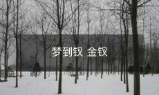 闪耀如梦的金钗,在梦中的视觉幻觉之中穿越时空的感性探索体验