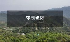 一场奇妙的梦境：我被带入了一个充满生机和神秘色彩的鱼网世界