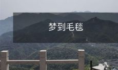 缠绕身体的温暖:我梦到了一条毛毯,缀满了童年的回忆和家的温馨感