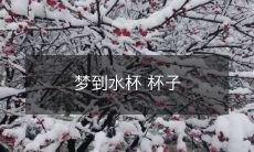 的梦:探讨潜意识中水杯象征的意义及其与个人情感和生命体验的关联