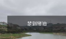 梦中沉浸在猪油香味中:我在梦中的奇幻旅程中探索猪油的诱人味道