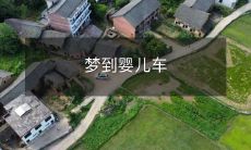 睡梦中惊醒,竟发现自己身处婴儿车中:体验婴儿文化与探索潜意识的奇妙旅程