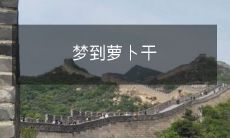 做梦时遇见了萝卜干，这是什么意思呢？