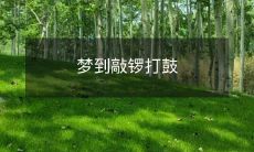 在我的梦中,我亲身体验了敲响清脆的鼓声和深沉的锣鸣:一场充满音律与节奏的奇妙体验!