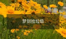 在梦中经历的令人深思的梦境——我捡垃圾的场景、感受和启示