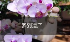 梦见不可思议的遗产使你感到惊喜和惊奇的情况下,你会感到疑惑和好奇,因为这个梦境或许启示了你尚未探索的人生的领域,或者是在你某个领域的成功可能性中提供了意想不到的机遇