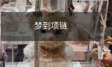 在睡梦中感受项链的温暖与光芒：我在梦中遇见了一条美丽的项链！