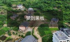 梦境中的黑板——探寻潜意识中的教育与成长符号