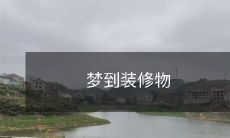 品的梦境:有关装修和室内设计,展现潜意识和美学观念的梦象世界