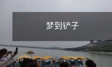 在梦中出现的铲子，象征着什么？  - 一场铲子的梦境探究