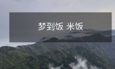 成了一张幅艺术品,用肉眼无法分辨出真伪的梦境中的米饭艺术品