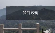 今晚我做了一个奇怪的梦，梦见了一对古老的铰剪，它们不断地开合，发出不安的声音，带给我无尽的惊慌和不安