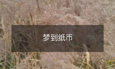 梦见自己手中拥有大量纸币的奇妙体验:探索潜意识中的财富和物质欲望