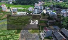 力高速公路车祸事故触发的道德、法律、情感和安全议题：关于驾车人责任及汽车制造标准的深度探讨