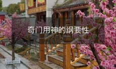 指南——深度探索奇门遁甲的神秘学说及其实践应用原则