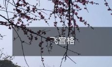 探索神秘迷宫:揭秘飞行宫格的谜团