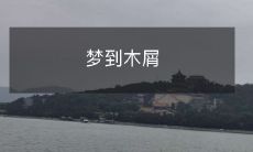 在梦中世界中沉浸:经历了一场奇幻的旅程,发现自己身处在充满木屑与树叶的环境中!