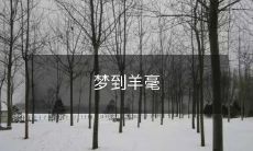 隐喻人生之路:梦中邂逅羊毫,描摹墨客心魂纵横于婉约笔墨之间