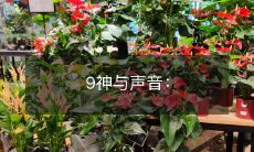 探索人类文化中神灵和声音的关系:从神话、音乐到心理学