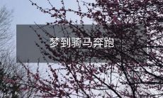 夜晚幻境中驰骋九州：梦见驾驭坐骑，疾驰远方如风奔跑