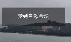 在梦境中遇见自然形成的闪闪发光的黄金块