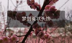 在梦中穿越时空:我竟然戴上了闪耀冕状头饰的壮观场面