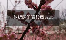 探讨如何运用阴阳遁策略以布局,提高战略效果的方法